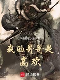 我的哥哥是高歡
