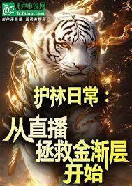 護林日常：從直播拯救金漸層開始