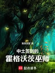 中土簽到的霍格沃茨巫師