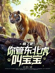 四合院：我靠神級加點逆襲