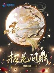 拈花問鼎