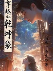 穿越的乾坤袋