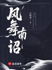 風舞南詔