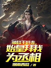 被趙王趕走，始皇拜我為丞相