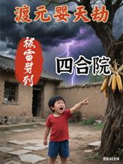 渡元嬰天劫被雷劈到四合院