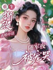 重生撕毀離婚申請，隨軍夜被寵哭