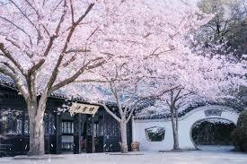 末世日常修仙