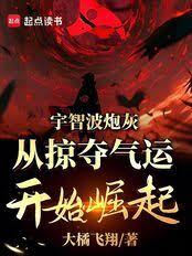 宇智波炮灰，從掠奪氣運開始崛起