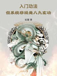 入門功法，但系統非說是八九玄功