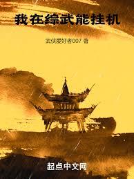 我在綜武能掛機