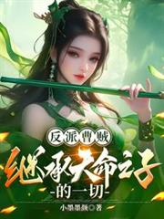 反派曹賊：繼承天命之子的一切