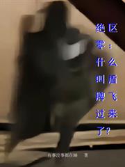 絕區零：什麼叫盾牌飛過來了？