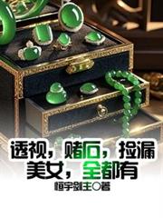 透視，賭石，撿漏，美女，全都有