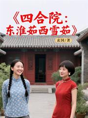 四合院：東淮茹西雪茹