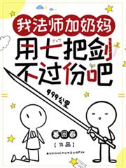 我法師加奶媽，用七把劍不過份吧
