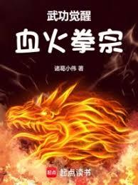 武功覺醒，血火拳宗