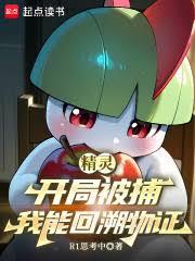 精靈：開局被捕，我能回溯物證
