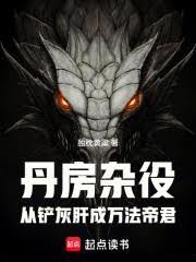 丹房雜役，從鏟灰肝成萬法帝君