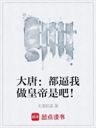 大唐：都逼我做皇帝是吧！