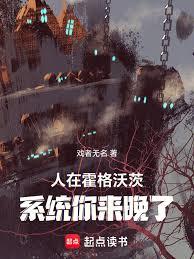 霍格沃茨：都教授了新手系統才來