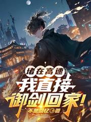 堵在高速，我直接御劍回家！
