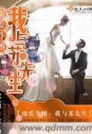 溺愛斗婚我與蘇先生