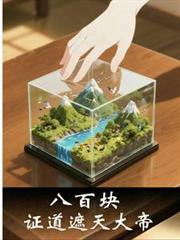 八百塊證道遮天大帝