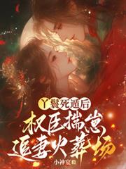 丫鬟死遁後，權臣揣崽追妻火葬場