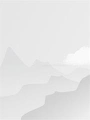 番茄小眼睛的第9本書
