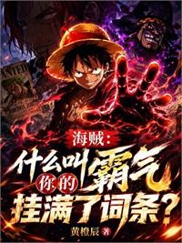 海賊：什麼叫你的霸氣掛滿了詞條
