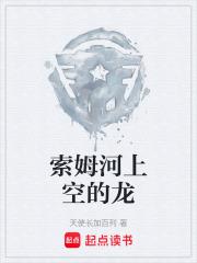 索姆河上空的龍
