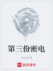 第三份密電