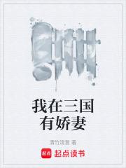 我在三國有嬌妻