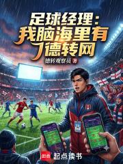 足球經理：我腦海里有德轉網