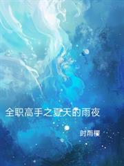 全職高手之夏天的雨夜