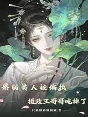嬌弱美人被偏執攝政王哥哥吃掉了