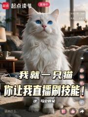 我就一隻貓，你讓我直播刷技能？