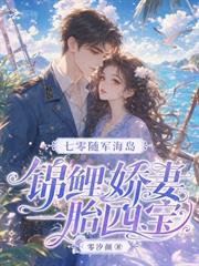 七零隨軍海島，錦鯉嬌妻一胎四寶