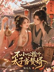 退婚後，不小心撿個太子當贅婿