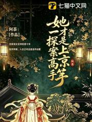 她才是上京第一探案高手