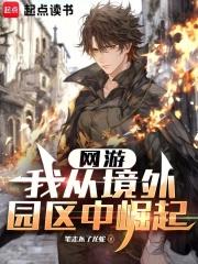 網遊：我從境外園區中崛起
