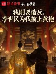 我剛要造反，李世民為我披上黃袍