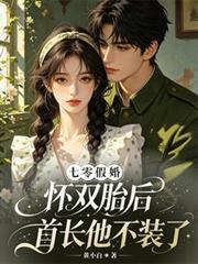 七零假婚：懷雙胎後首長他不裝了