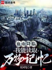 血雨降臨：我能讀取萬物記憶