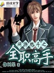 網遊格鬥之全職高手