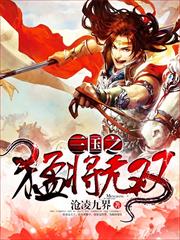 三國之猛將無雙